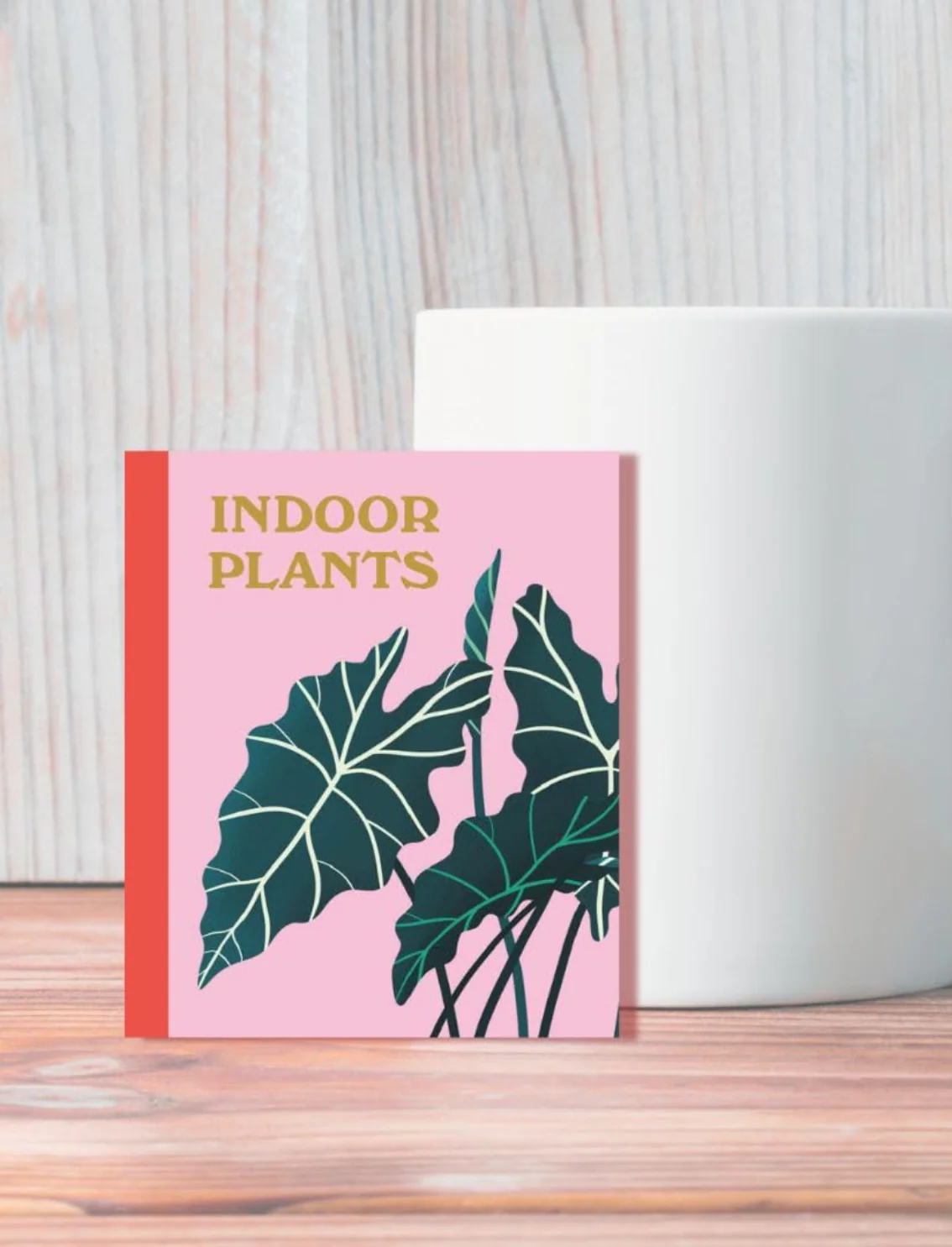 תמונת מוצר 5