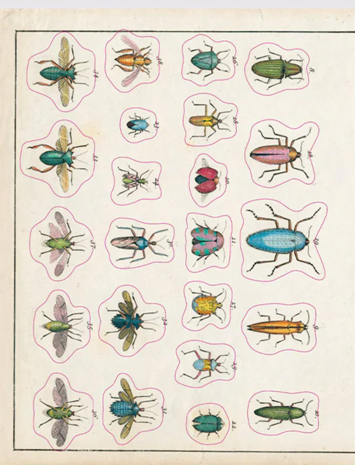 תמונת מוצר 18
