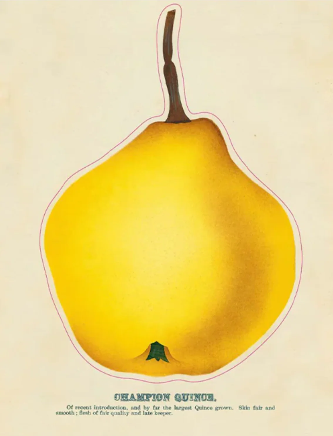 תמונת מוצר 9
