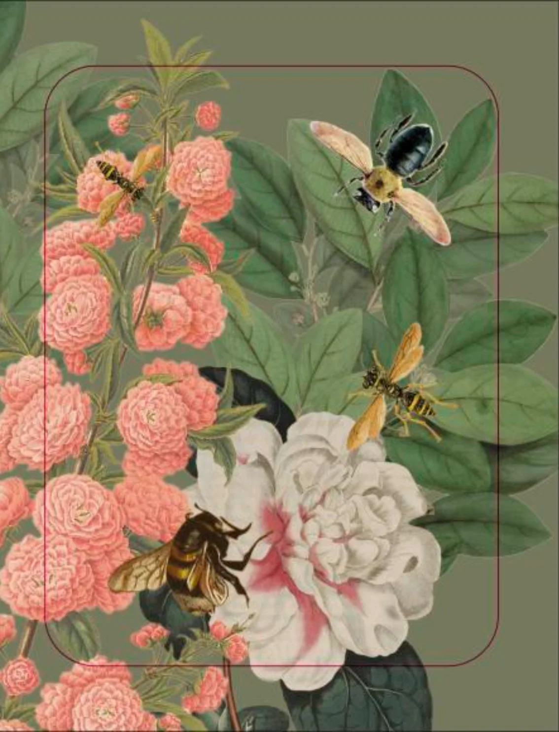 תמונת מוצר 10
