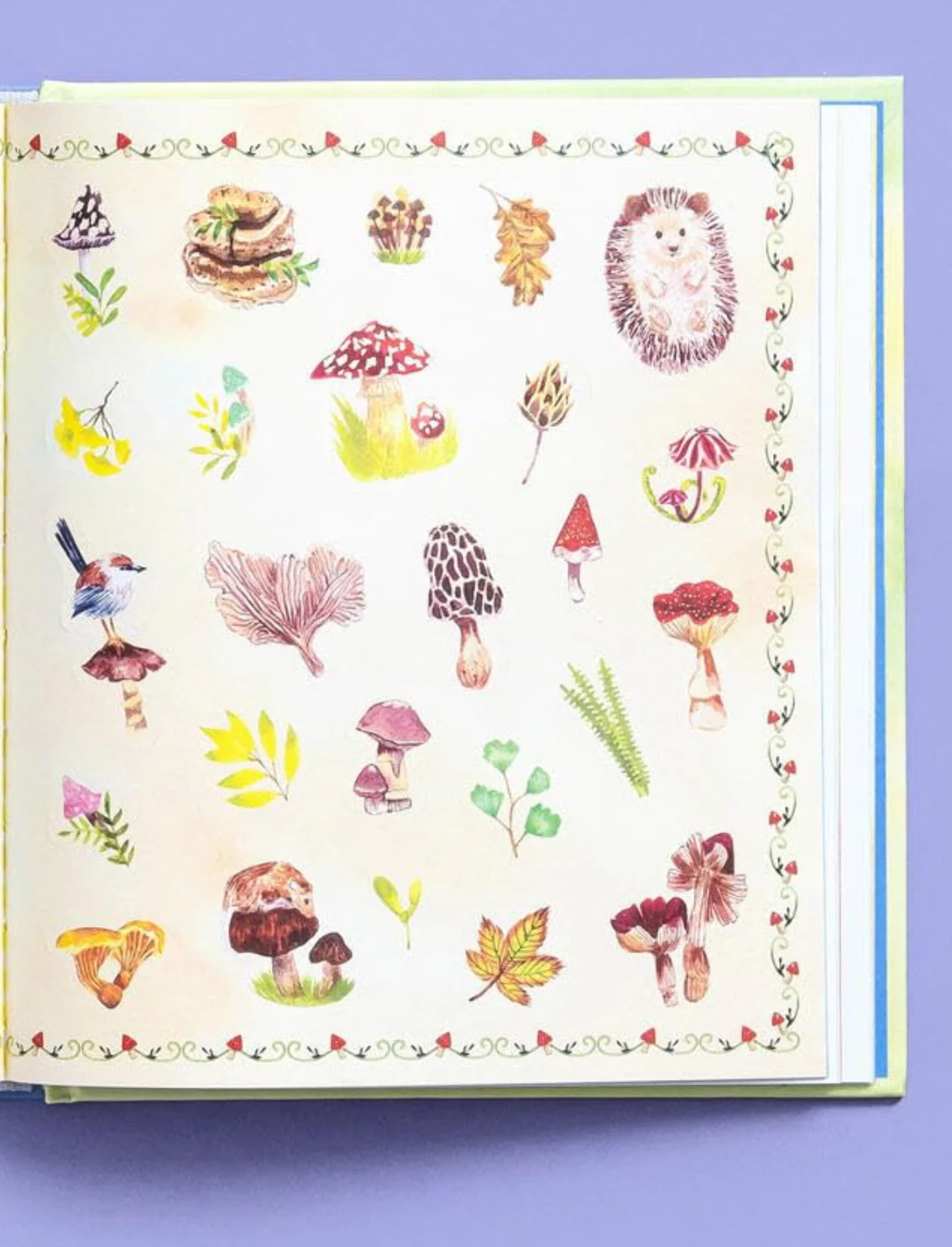 תמונת מוצר 4