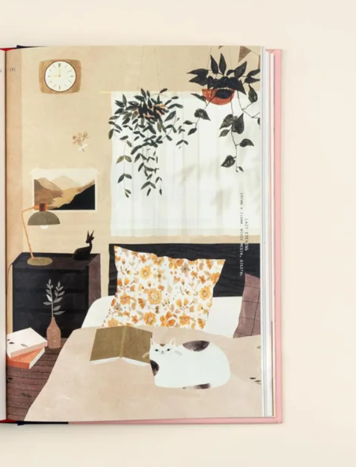 תמונת מוצר 7
