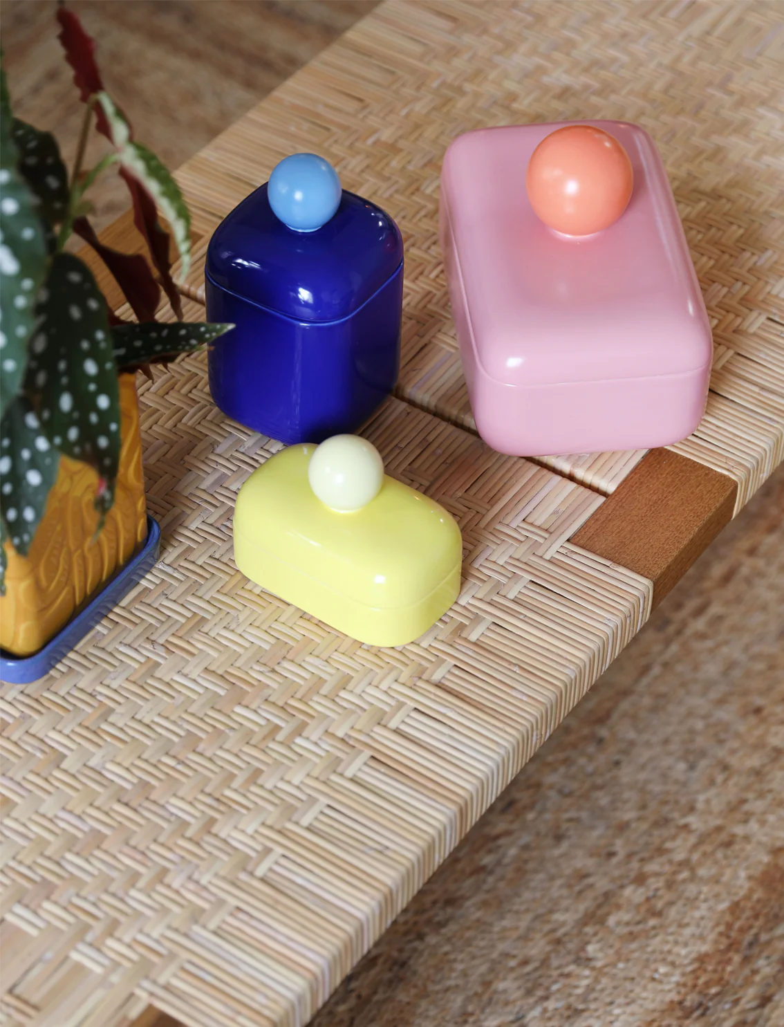 תמונה ממוזערת 2
